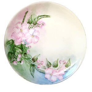 Antique Hutschenreuther Selb Bavaria Cherry Blossom Hand Painted Fine China Brea